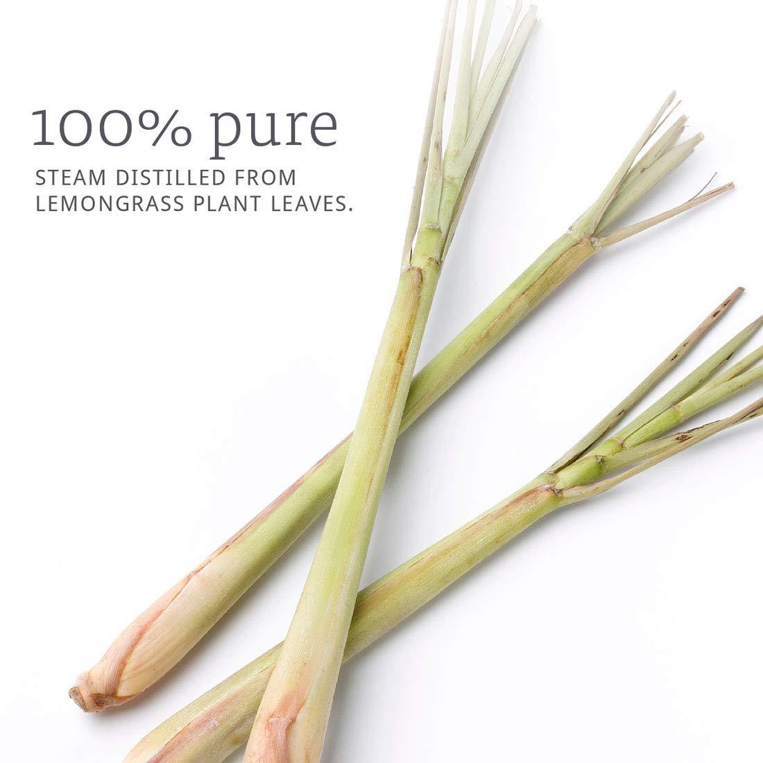 USDA Organic Lemongrass Essential Oil 100% Pure 10ml (1/3oz)