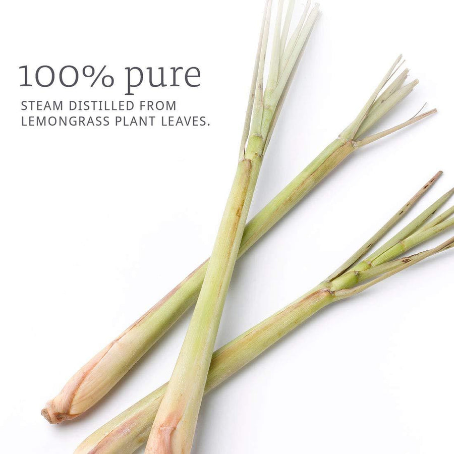 USDA Organic Frankincense Essential Oil 100% Pure 10ml (1/3oz)